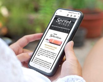 Responsive newsletter displayed on a mobile phone